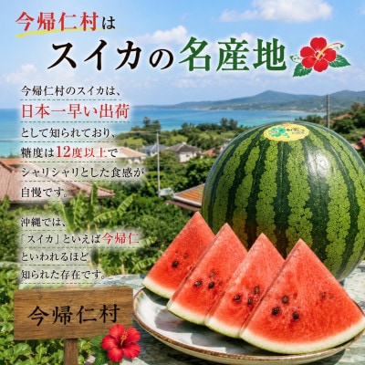 【2027年1月中旬より順次発送】冬に食べる幻のスイカ ぬちぐすいーと 1玉(4.5kg以上)