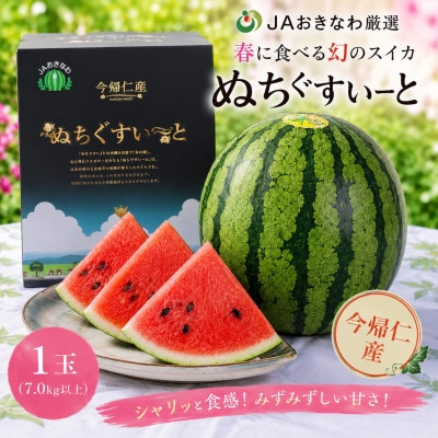 【2027年4月中旬より順次発送】春に食べる幻のスイカ ぬちぐすいーと 1玉(7.0kg以上)