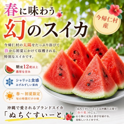 【2027年4月中旬より順次発送】春に食べる幻のスイカ ぬちぐすいーと 1玉(7.0kg以上)