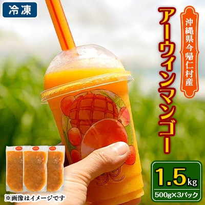 <生産者応援・普通冷凍>加工向け今帰仁産アーウィンマンゴー1.5kg(500g×3パック)