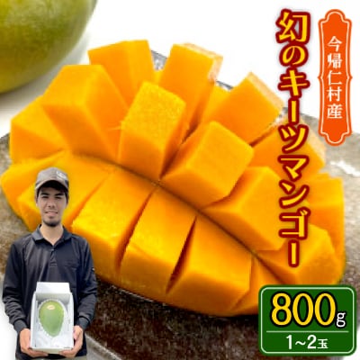 【先行受付・2026年8月から順次発送】仲本マンゴー園の幻のキーツマンゴー800g(1～2玉)