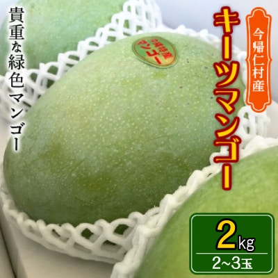【先行受付・2025年8～10月頃発送予定】沖縄県今帰仁村産のキーツマンゴー2.0kg