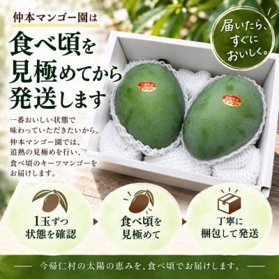【2027年8月下旬から順次発送】仲本マンゴー園の幻のキーツマンゴー2.0kg(2～3玉)
