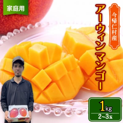 【2026年6月から順次発送・家庭用】仲本マンゴー園のアーウィンマンゴー1kg(2～3玉)