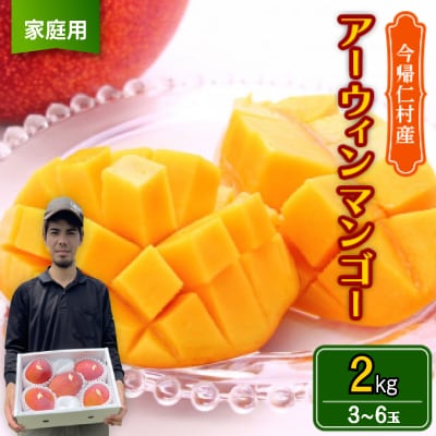 【2026年6月から順次発送・家庭用】仲本マンゴー園のアーウィンマンゴー2kg