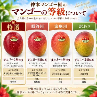 【2027年6月下旬から順次発送・家庭用】仲本マンゴー園のアーウィンマンゴー2kg(3～6玉)