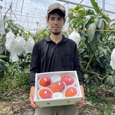 【先行受付・ご家庭向け優品】2025年6～8月頃発送の今帰仁村産アーウィンマンゴー2kg
