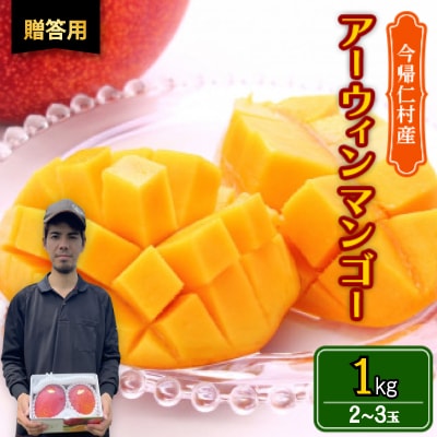 【2026年6月から順次発送・贈答用】仲本マンゴー園のアーウィンマンゴー1kg(2～3玉)