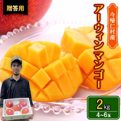 【2026年6月から順次発送・贈答用】仲本マンゴー園のアーウィンマンゴー2kg(4～6玉)