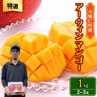 【2026年6月から順次発送・特選】仲本マンゴー園のアーウィンマンゴー1kg(2～3玉)