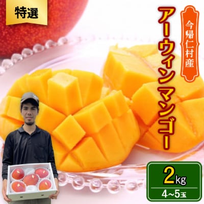 【2026年6月から順次発送・特選】仲本マンゴー園のアーウィンマンゴー2kg(4～5玉)