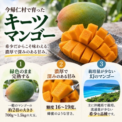 【2026年8月下旬から順次発送】仲本マンゴー園の幻のキーツマンゴー1.2kg(1～2玉)