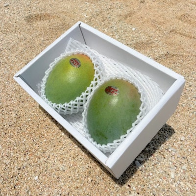 【先行受付・2025年8～10月頃発送予定】沖縄県今帰仁村産のキーツマンゴー1.2kg