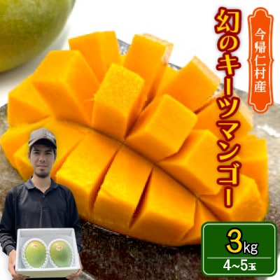 【先行受付・2026年8月から順次発送】仲本マンゴー園の幻のキーツマンゴー3kg(4～5玉)