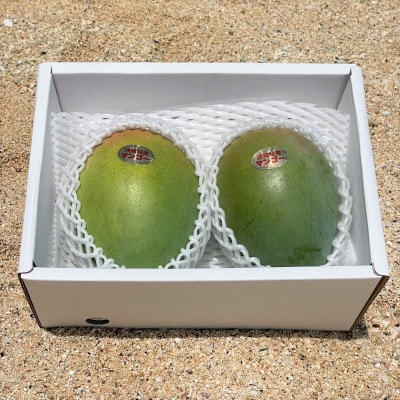 【先行受付・2026年8月から順次発送】仲本マンゴー園の幻のキーツマンゴー3kg(4～5玉)