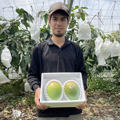 【先行受付・2025年8～10月頃発送予定】沖縄県今帰仁村産のキーツマンゴー3kg(4～6玉)