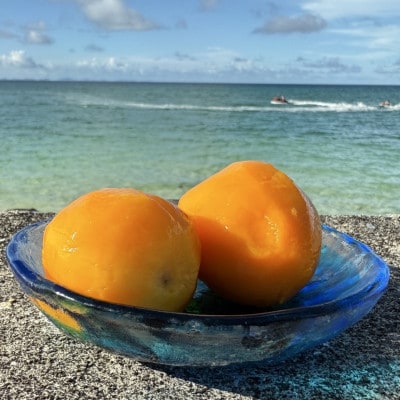 【数量限定・瞬間冷凍】仲本マンゴー園の完熟ミニマンゴー300g～400g×3袋