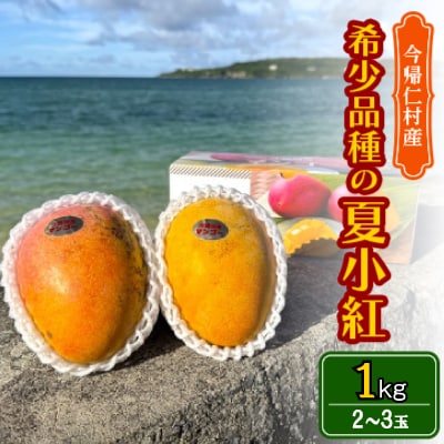 【2026年7月から順次発送・数量限定】仲本マンゴー園の希少品種の夏小紅1kg(2～3玉)