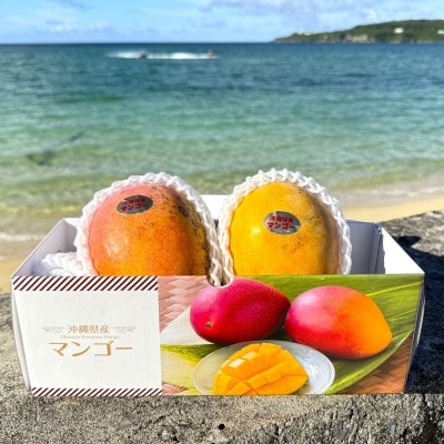 【2026年7月から順次発送・数量限定】仲本マンゴー園の希少品種の夏小紅1kg(2～3玉)