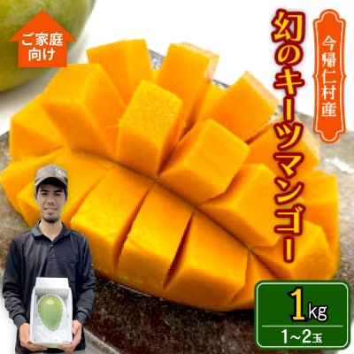 【先行受付・2026年8月から順次発送・家庭用】仲本マンゴー園の幻のキーツマンゴー1kg(1～2玉)