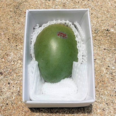 【先行受付・2026年8月から順次発送・家庭用】仲本マンゴー園の幻のキーツマンゴー1kg(1～2玉)