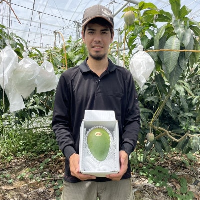 【先行受付・2026年8月から順次発送・家庭用】仲本マンゴー園の幻のキーツマンゴー1kg(1～2玉)