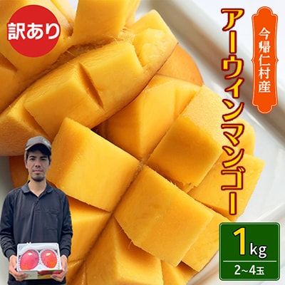 【2026年6月末から順次発送・訳あり】仲本マンゴー園のアーウィンマンゴー1kg(2～4玉)