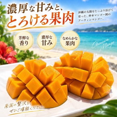 【2027年6月下旬から順次発送・訳あり】仲本マンゴー園のアーウィンマンゴー1kg(2～4玉)