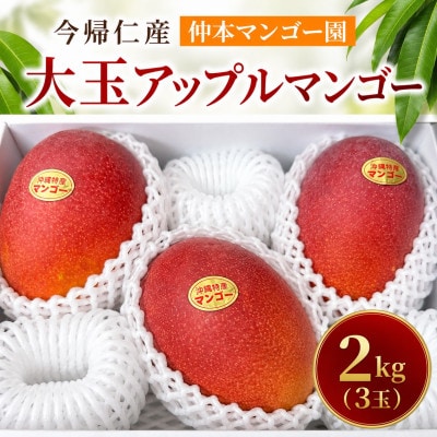 【2026年7月下旬から順次発送・贈答用】仲本マンゴー園の大玉アーウィンマンゴー2kg(3玉)