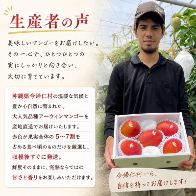 【2026年7月下旬から順次発送・贈答用】仲本マンゴー園の大玉アーウィンマンゴー2kg(3玉)