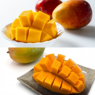 【発送月固定定期便】家庭用マンゴー2種食べ比べ(アップルマンゴー&キーツマンゴー)全2回