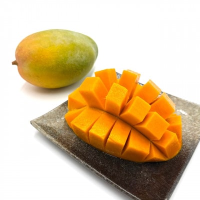 【発送月固定定期便】家庭用マンゴー2種食べ比べ(アップルマンゴー&キーツマンゴー)全2回