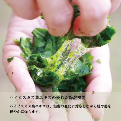 ハイビスカス ヘアシャンプー