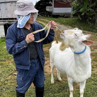 今帰仁生まれの「美らヤギ」刺し身2パック 山羊汁2パック