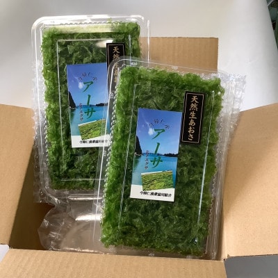 古宇利島産の天然生アーサ100g(50g×2パック) | 沖縄県今帰仁村 古宇利島産の天然生アーサ100g(50g×2パック) | 沖縄県今帰仁村