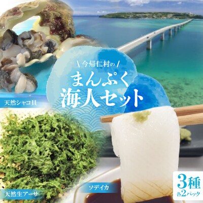 まんぷく海人セット(天然シャコ貝、天然生アーサ、ソデイカ)×各種2パック