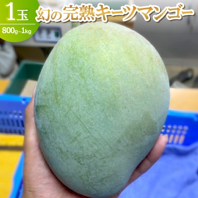 【2025年8月～9月頃の発送】幻の完熟キーツマンゴー1玉(800g～1.0kg)