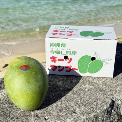 【2025年8月～9月頃の発送】幻の完熟キーツマンゴー1玉(800g～1.0kg)