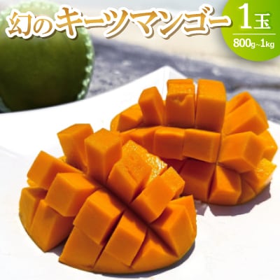 【2026年8月下旬から順次発送】みなとばる農園の幻のキーツマンゴー1玉(800g~1.0kg)