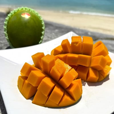 【2026年8月下旬から順次発送・家庭用】みなとばる農園の幻のキーツマンゴー800g～1.0kg