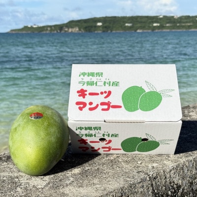 【2026年8月下旬から順次発送】みなとばる農園の幻のキーツマンゴー1玉(800g～1.0kg)