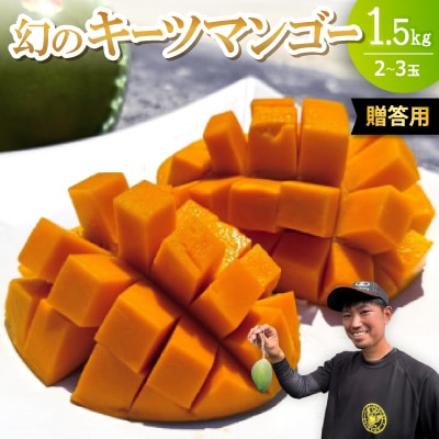 �y2026�N8�����{���珇�������E�����p�z�݂ȂƂ΂�_���̌��̃L�[�c�}���S�[1.5kg(2�`3��)