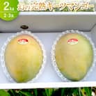 【2025年8月～9月頃の発送】幻の完熟キーツマンゴー2kg(2～3玉)