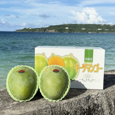 【2026年8月下旬から順次発送・家庭用】みなとばる農園の幻のキーツマンゴー1.5kg(2～3玉)
