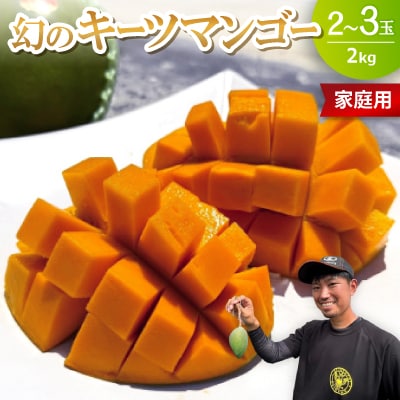 【2026年8月下旬から順次発送・家庭用】みなとばる農園の幻のキーツマンゴー2.0kg(2～3玉)