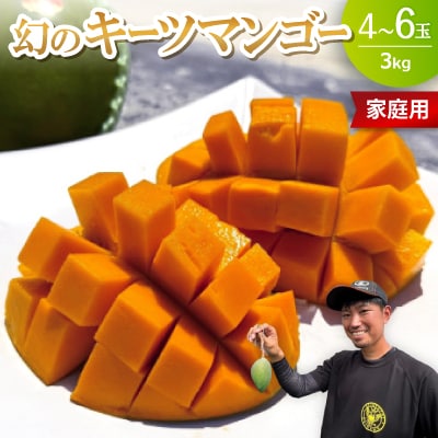 【2026年8月下旬から順次発送・家庭用】みなとばる農園の幻のキーツマンゴー3.0kg(4～6玉)