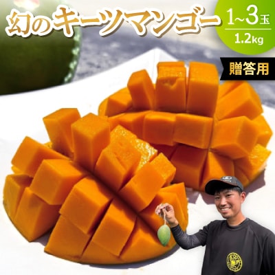 【2026年8月下旬から順次発送・贈答用】みなとばる農園の幻のキーツマンゴー1.2kg(1～3玉)