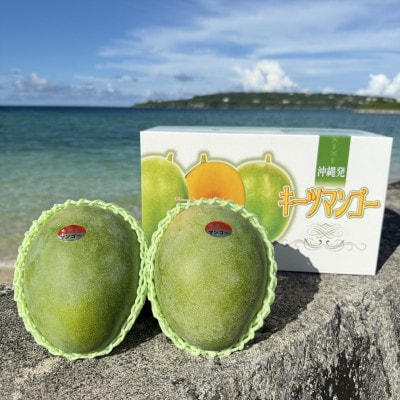 【2026年8月下旬から順次発送・贈答用】みなとばる農園の幻のキーツマンゴー1.2kg(1～3玉)