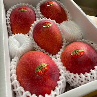 【2026年6月下旬から順次発送・家庭用】みなとばる農園の完熟アップルマンゴー2kg(3～6玉)