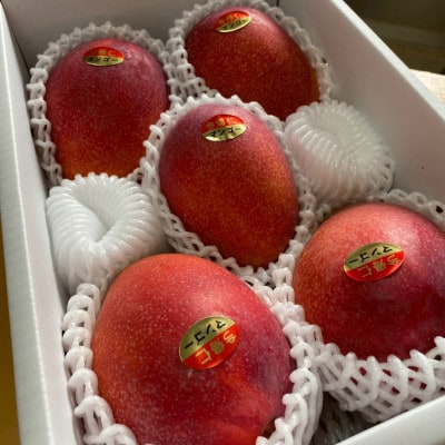 【2026年6月下旬から順次発送・家庭用】みなとばる農園の完熟アップルマンゴー4kg(6～12玉)